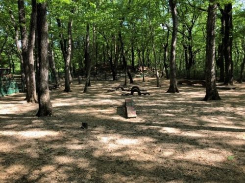 那須りんどう湖レイクビュー 犬の入園料が無料になりました