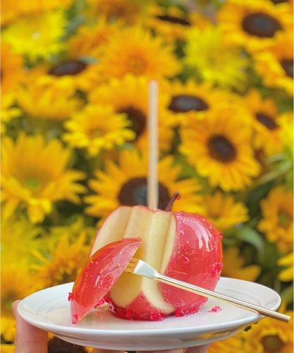 りんご飴専門店 キャンディアップル